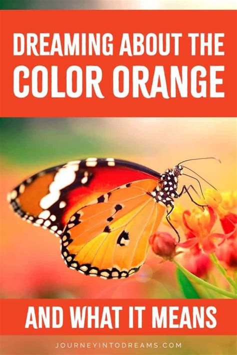 Orange Color Symbolism and Dream Meaning - Meaning of Dream