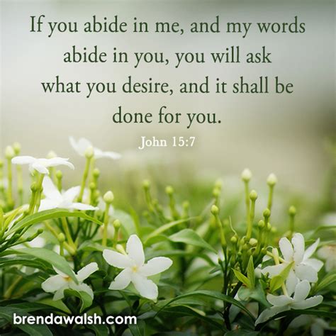 Abide in Me - Brenda Walsh Scripture Images