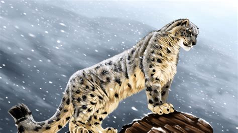 Download wallpaper 1920x1080 snow leopard, big cat, predator, glance, stones, art full hd, hdtv ...