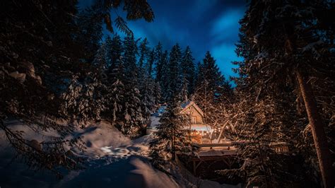 Download Fir Tree Christmas House Night Snow Forest Photography Winter 4k Ultra HD Wallpaper