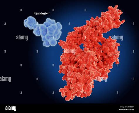 Potential drug molecule hi-res stock photography and images - Alamy