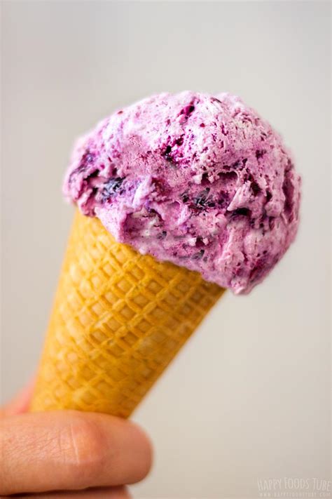 Homemade Blueberry Ice Cream Recipe - Happy Foods Tube