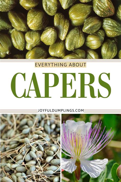 What Are Capers? Your Questions Answered! » Joyful Dumplings