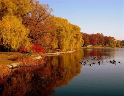 10 Breathtaking Places To See Fall Colours Near Toronto - Ultimate Ontario