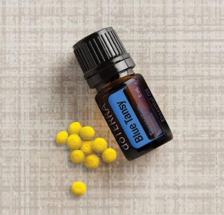 dōTERRA Blue Tansy Essential Oil 5ml - Use Essential Oils Australia