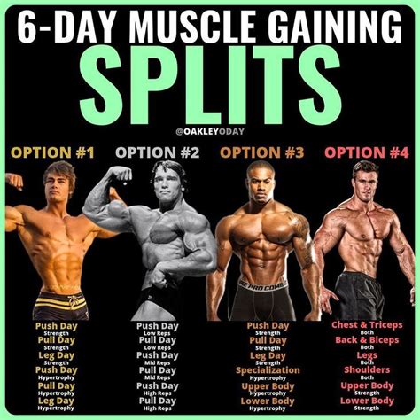 8 Powerful Muscle Building Gym Training Splits - GymGuider.com | Workout splits, Muscle building ...