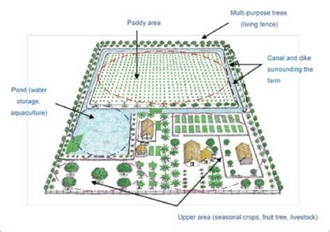 General design of a Multi-Purpose Farm (Lim 2007) | Download Scientific Diagram