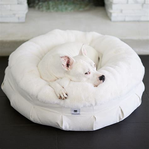 How to Pick the Best Dog Orthopedic Bed - Animals Matter, Inc.