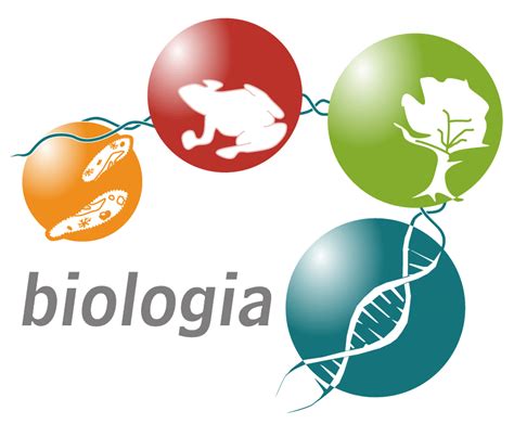 A importância da Biologia ~ Bio Educa