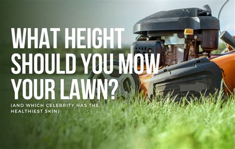 What Height Should You Mow Your Lawn? - Joe's Lawn Care