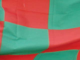 Come on the Green and Red! - Mayo GAA Blog