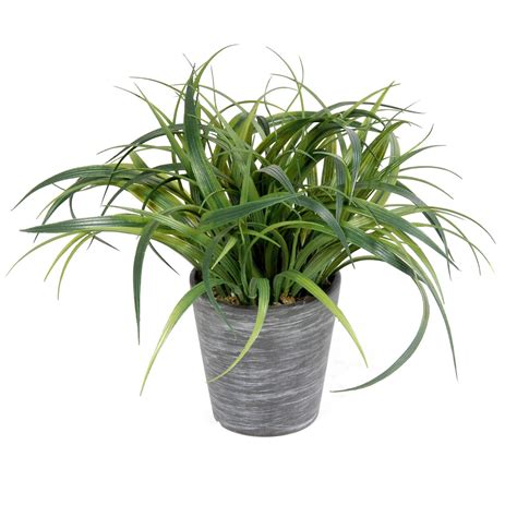 Grass Arrangement in Pot | At Home