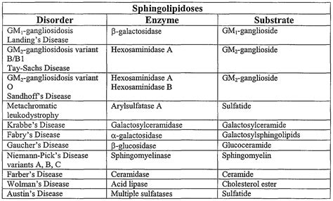 Lysosomal Storage Disease Mnemonics | Dandk Organizer