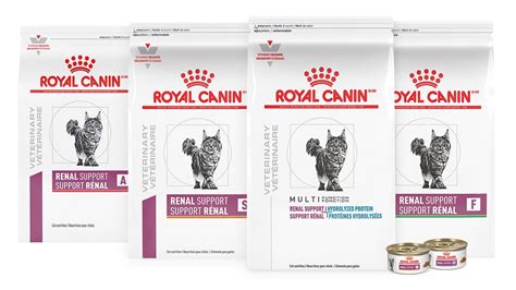 Cat food to support renal issues | Royal Canin US