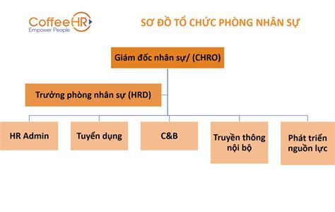 13 Mẫu sơ đồ tổ chức công ty phổ biến mới nhất 2023 [Tải về] - Networks ...