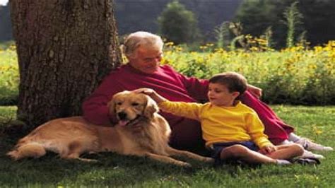 Care For Your Aging Dog's Health - Boldsky.com