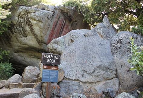 Hospital Rock (Sequoia and Kings Canyon National Park) - 2020 All You ...