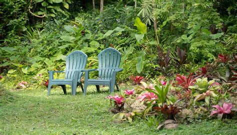 Flower Forest Botanical Gardens Barbados - Caribbean's Most Serene Tourist Spot