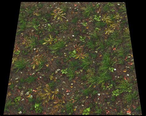 ArtStation - Forest Ground Texture