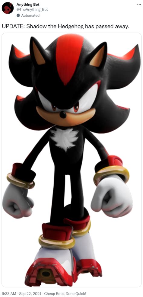 UPDATE: Shadow the Hedgehog has passed away. | Anything Bot | Know Your ...