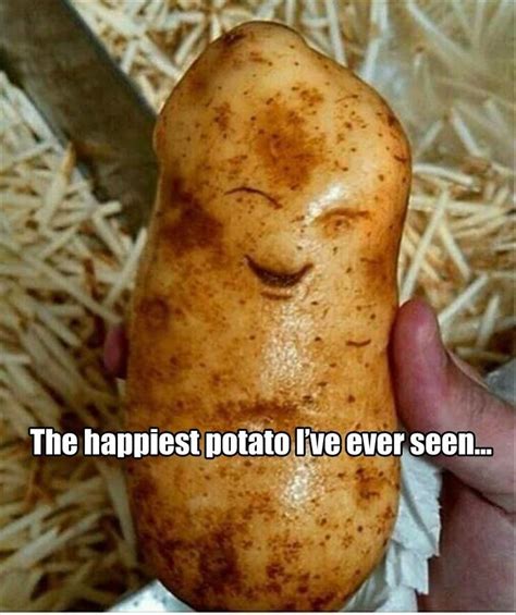 Funny Pictures Of The Day - 45 Pics | Happy potato, Food, Food humor