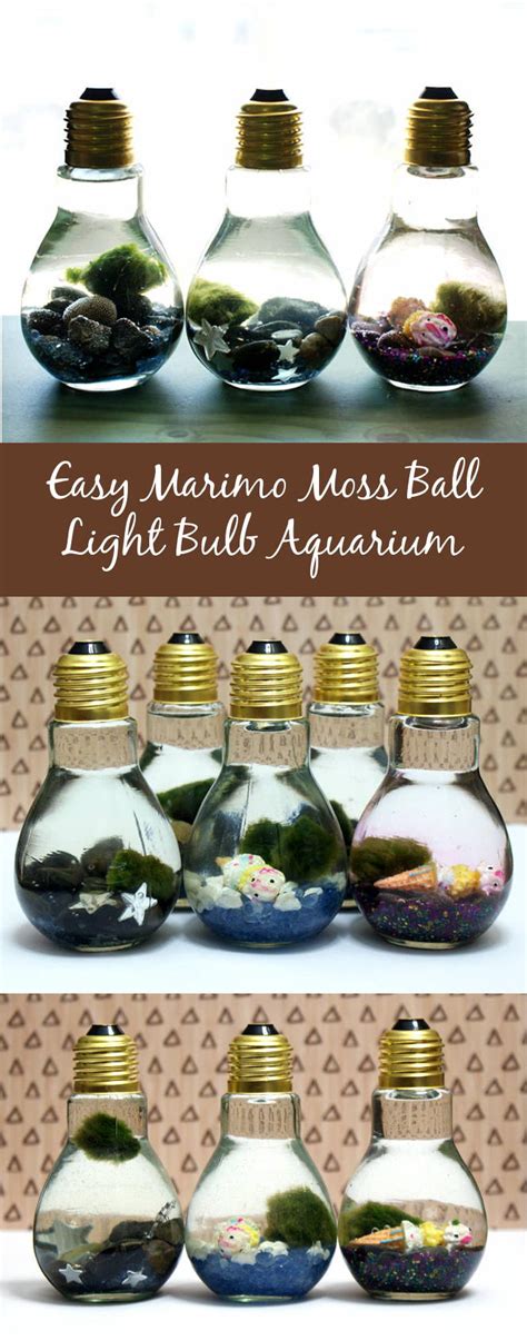 Easy DIY Light Bulb Aquarium