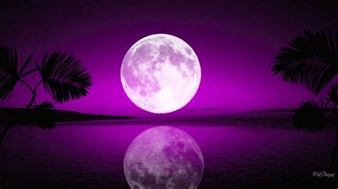 Pin by Solange Ltaif on Moon | Purple sky, Moon, Beautiful moon