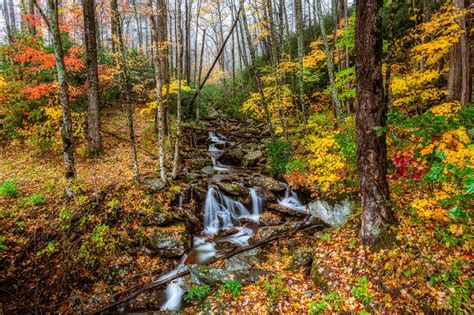 Fonds d'ecran Parc USA Automne Forêts Great Smoky Mountains Ruisseau Arbres Nature télécharger photo