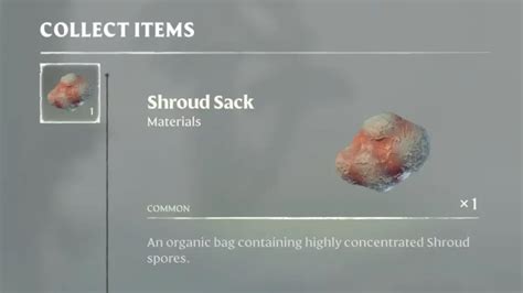 Enshrouded Shroud Sack Farming Guide: Location & Uses