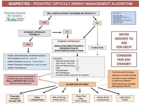 Crash Airway Algorithm