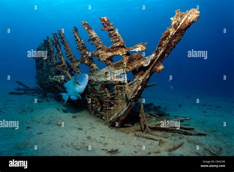 Underwater Pirate Shipwreck