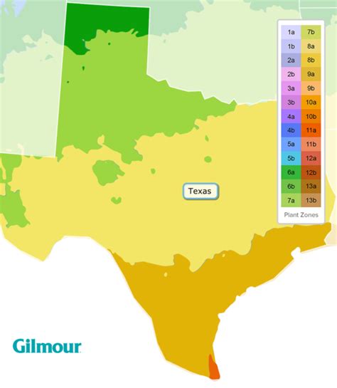 North Texas Flower Planting Guide 2024 - Fifi Orella