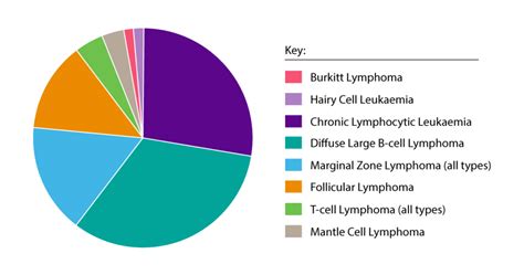 Exploring The Differences Between Hodgkin and Non-Hodgkin’s Lymphoma