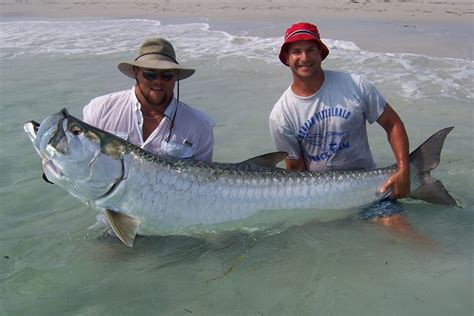 SPRING FISHING IS EXPLOSIVE AND HAS COMMENCED!!!!! | Absolute Florida ...