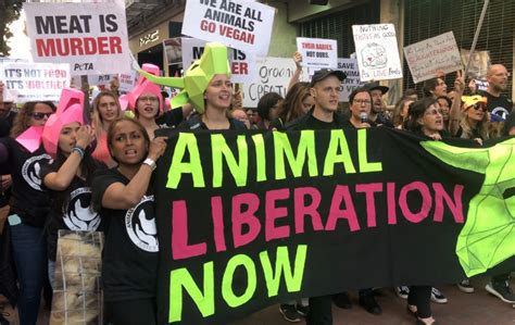 The 2018 Animal Liberation March in San Francisco - Their Turn