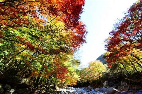 Jeju autumn itinerary — 6 best places to visit & top things to do in Jeju autumn foliage season ...