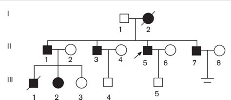 Figure 1 from Diagnosis of Liddle syndrome by genetic analysis of β and γ subunits of epithelial ...