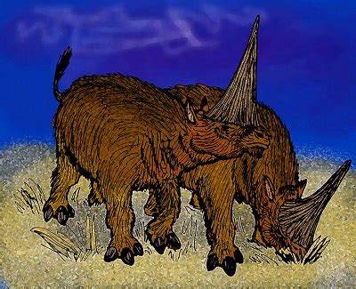 Elasmotherium sibiricum: características, hábitat, reproducción ...