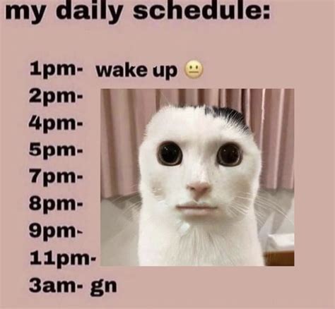 My Daily Schedule: 1pm - Wake Up | My Daily Schedule: 1pm - Wake Up ...