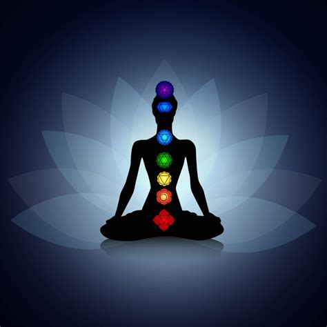 INTRODUCTION TO CHAKRAS | Tantric Journey