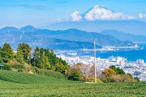 Shimizu Shore Excursions, Day Trips & Mt Fuji Tours from Shimizu Port