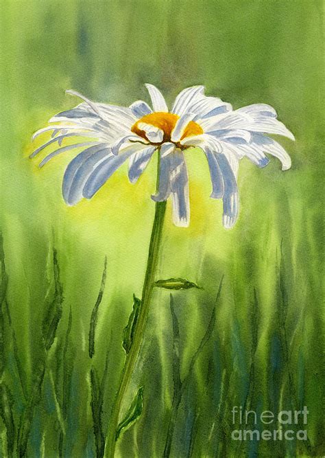 Single White Daisy Painting by Sharon Freeman