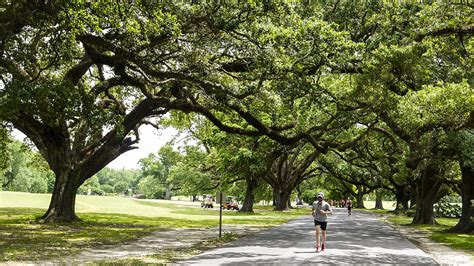 Audubon Park | The Cultural Landscape Foundation