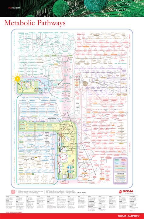 Metabolic Pathways | Sigma-Aldrich.com – TOWARDS LIFE-KNOWLEDGE