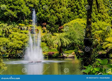 A Strole Through The Pukekura Park Botanical Gardens. New Plymouth, Taranaki, New Zealand Stock ...