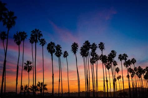 30+ Splendid Things to Do in Santa Barbara, California (2024 Guide!) - Roadtripping California