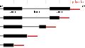 Category:Polyadenylation - Wikimedia Commons