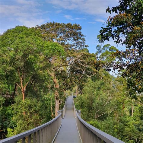 This Beautiful 130-Million-Year-Old Malaysian Rainforest Is The Perfect ...