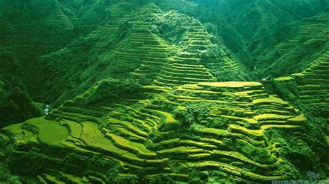 Banaue Rice Terraces Wallpapers - Top Free Banaue Rice Terraces Backgrounds - WallpaperAccess