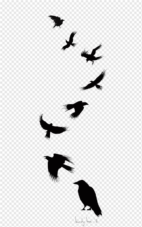 Eight black birds, Common raven Bird Tattoo Drawing Flight, Ink Crow, monochrome, fauna, animal ...